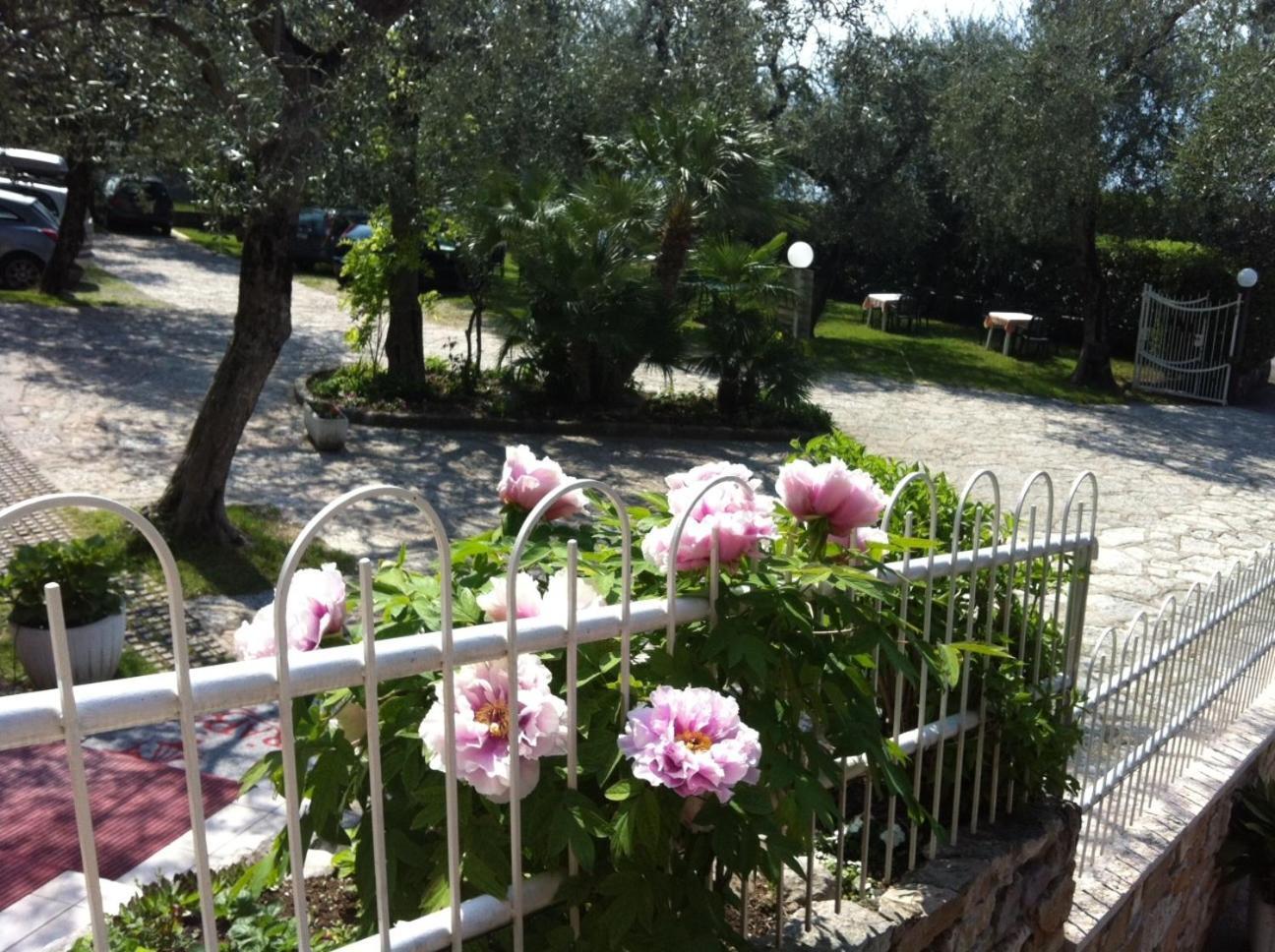 Hotel Rabay